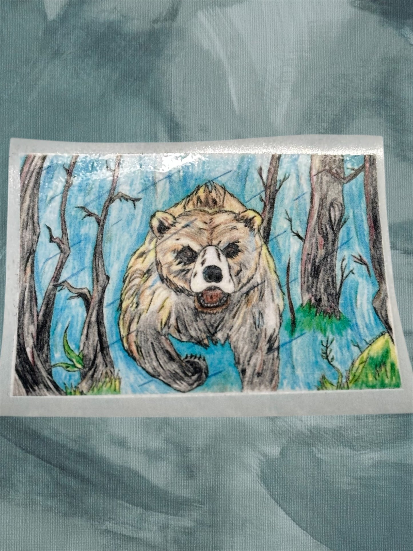 Bear 2026 Sticker