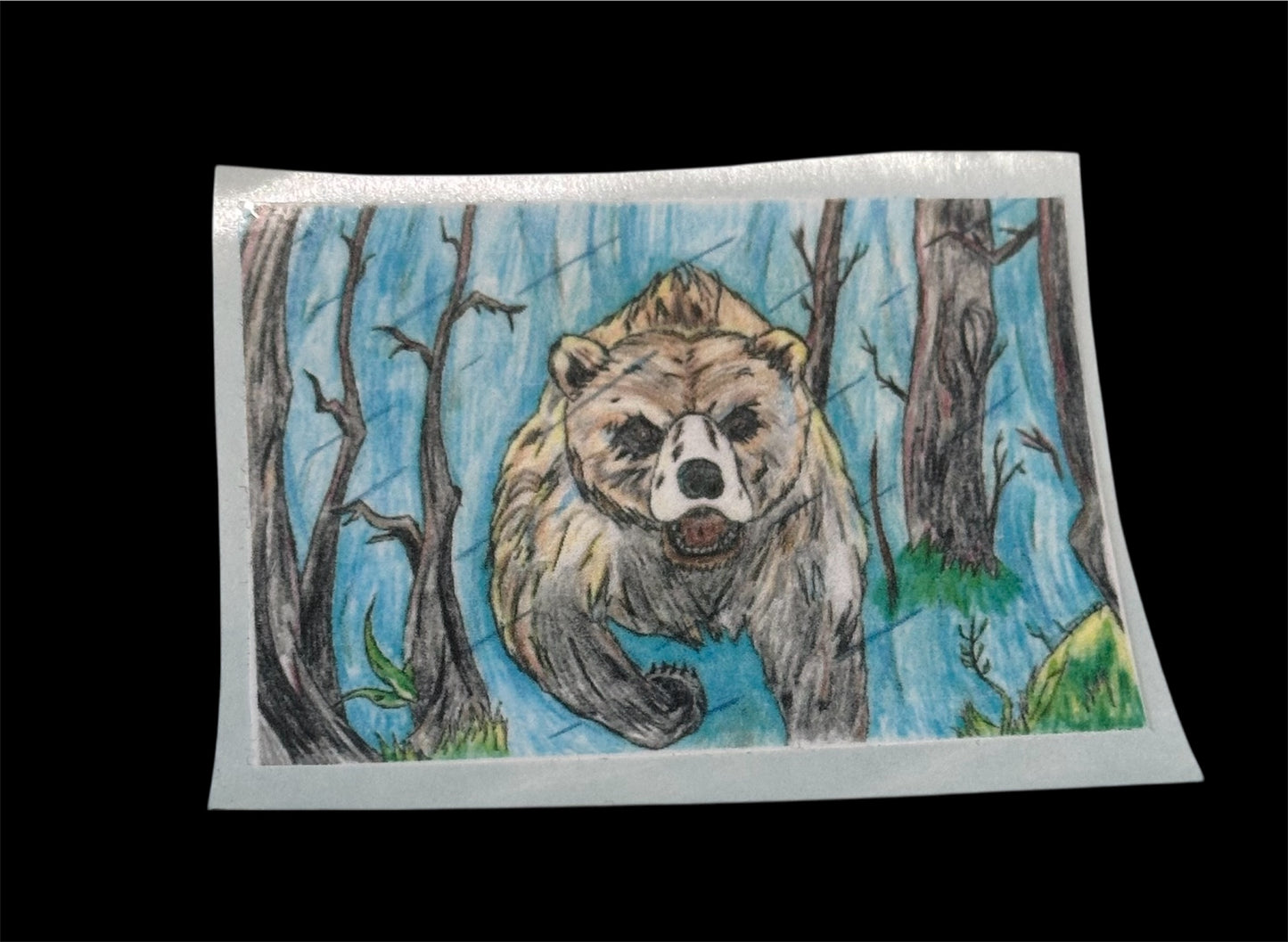 Bear 2026 Sticker